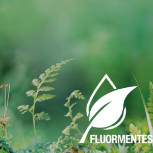 GLORIA SD 6 E – Habbal oltó tűzoltó készülék, fluormentes